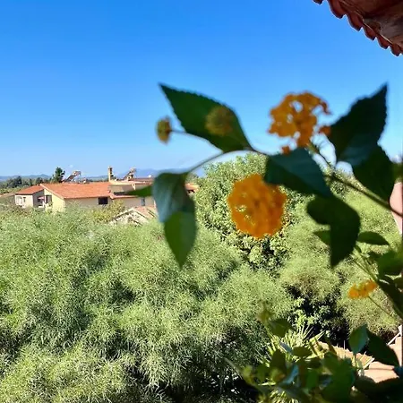 La Casa Di Rosy San Sperate